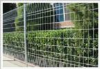 Wire Mesh Fence